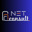 NetConsult FZCO logo